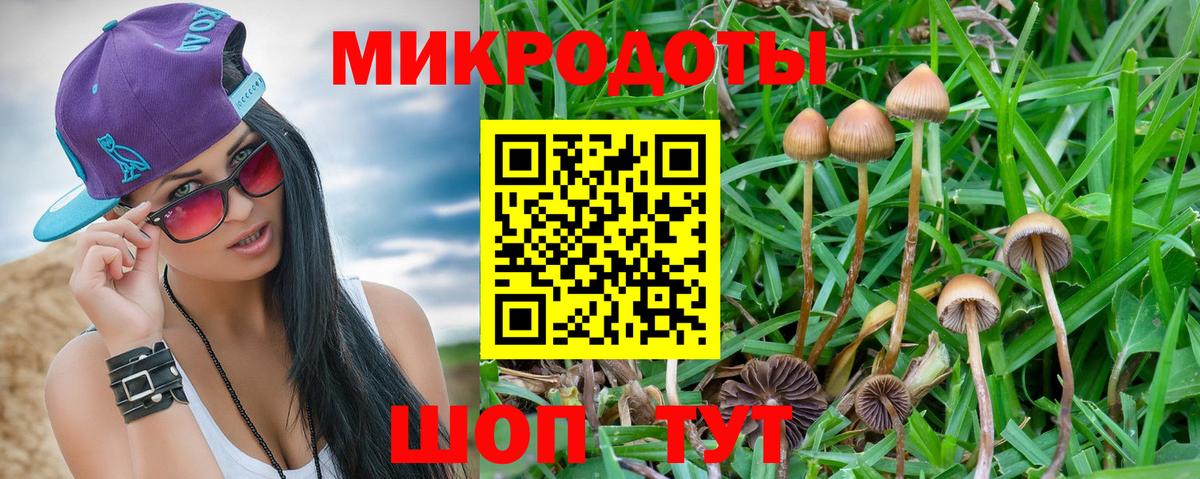 LSD-25 Удомля