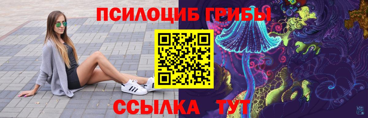 Галлюциногенные грибы Psilocybe Удомля
